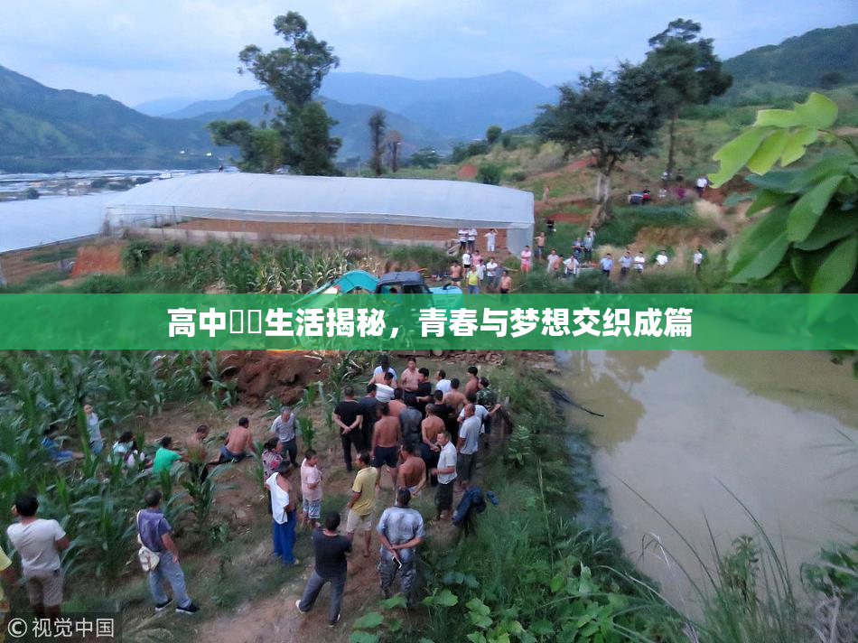 高中妺妺生活揭秘，青春与梦想交织成篇