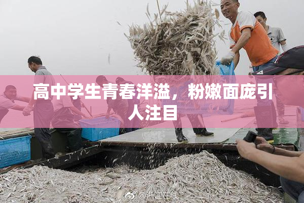高中学生青春洋溢，粉嫩面庞引人注目