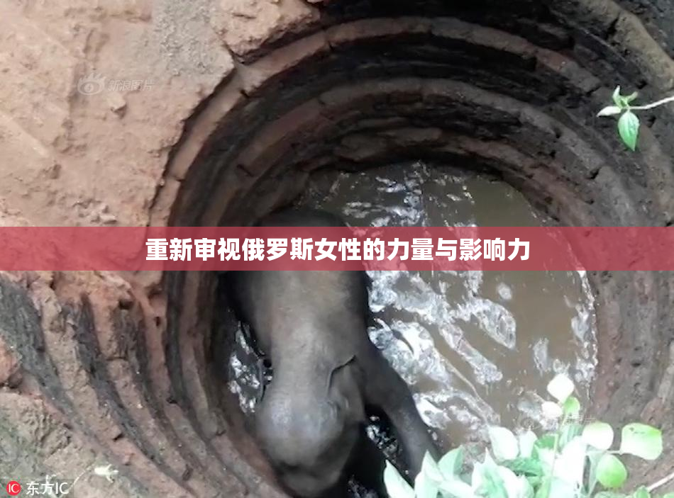 重新审视俄罗斯女性的力量与影响力
