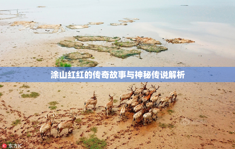 涂山红红的传奇故事与神秘传说解析