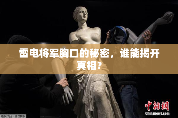 雷电将军胸口的秘密，谁能揭开真相？