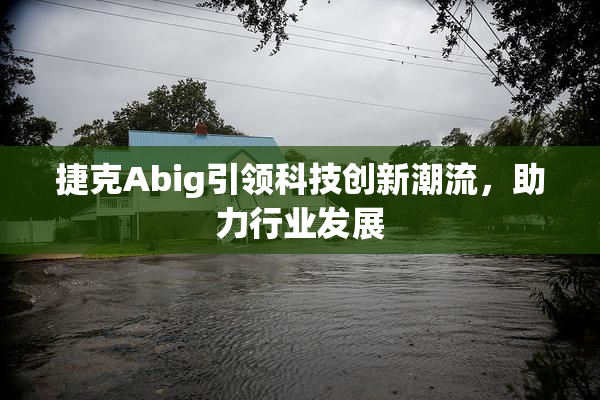捷克Abig引领科技创新潮流，助力行业发展