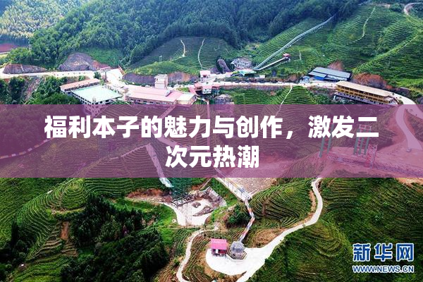 福利本子的魅力与创作，激发二次元热潮