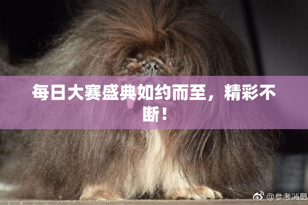每日大赛盛典如约而至，精彩不断！