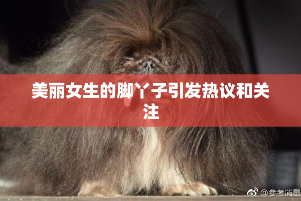 美丽女生的脚丫子引发热议和关注