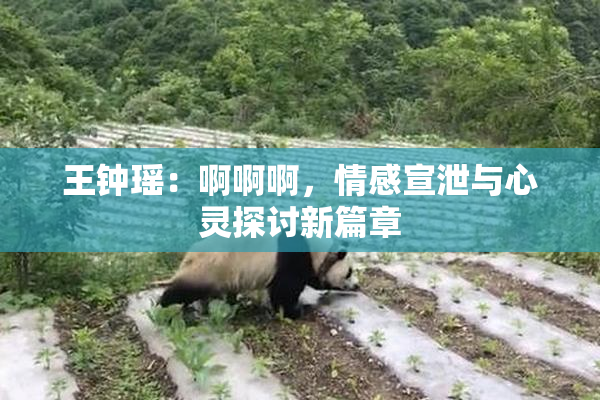 王钟瑶：啊啊啊，情感宣泄与心灵探讨新篇章