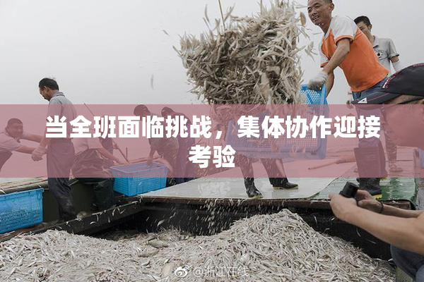 当全班面临挑战，集体协作迎接考验