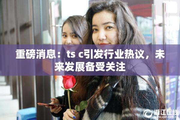 重磅消息：ts c引发行业热议，未来发展备受关注