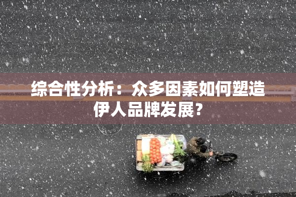 综合性分析：众多因素如何塑造伊人品牌发展？