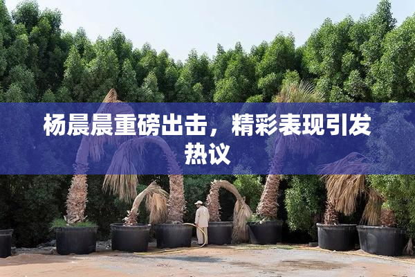 杨晨晨重磅出击，精彩表现引发热议