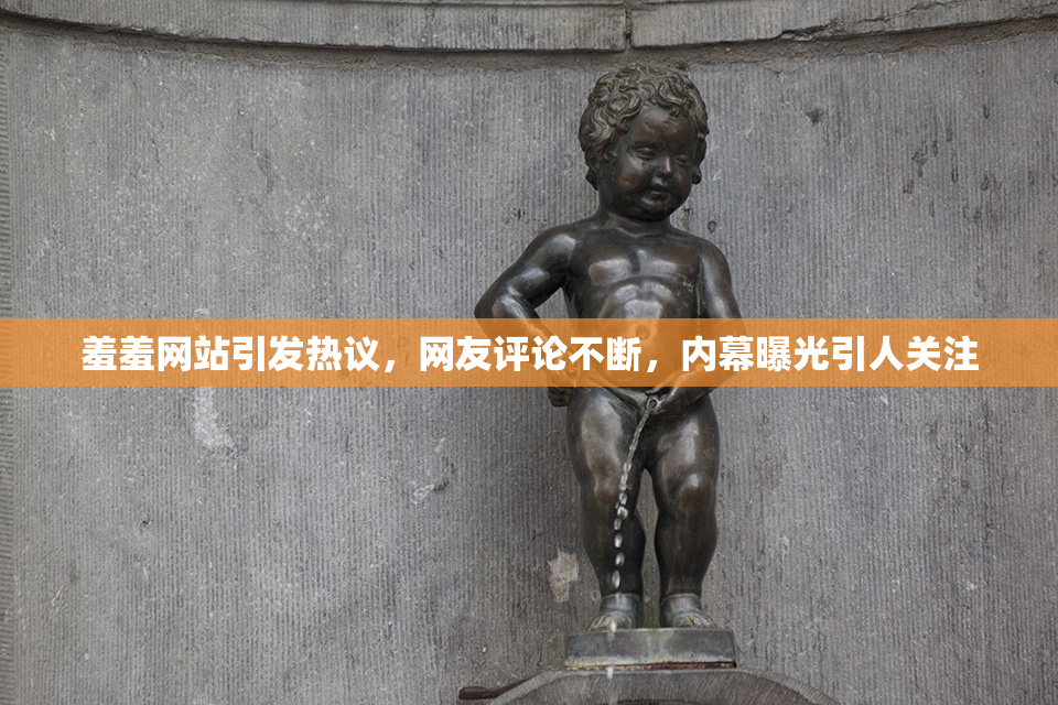 羞羞网站引发热议，网友评论不断，内幕曝光引人关注