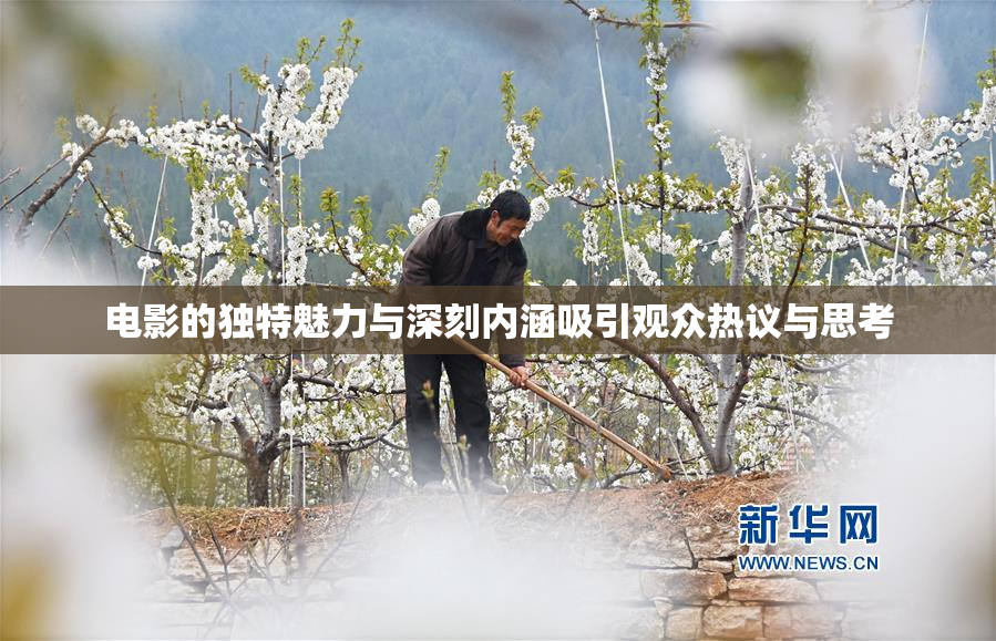 电影的独特魅力与深刻内涵吸引观众热议与思考