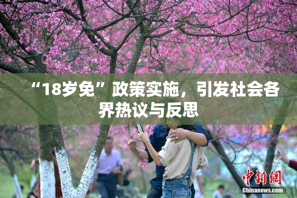 “18岁免”政策实施，引发社会各界热议与反思