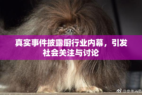 真实事件披露厨行业内幕，引发社会关注与讨论