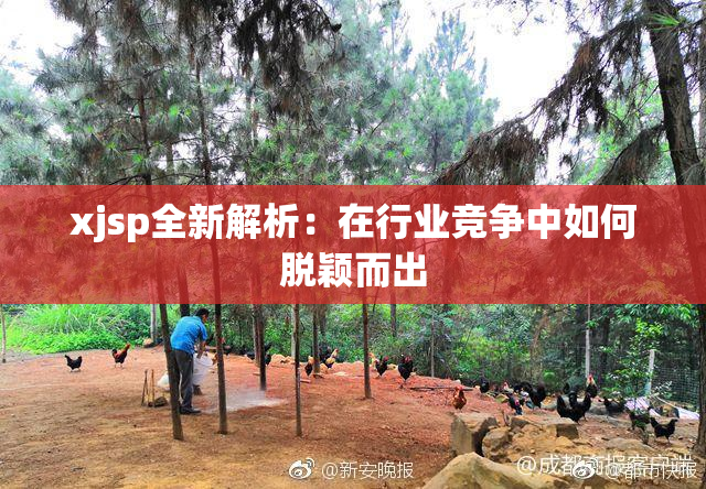 xjsp全新解析：在行业竞争中如何脱颖而出