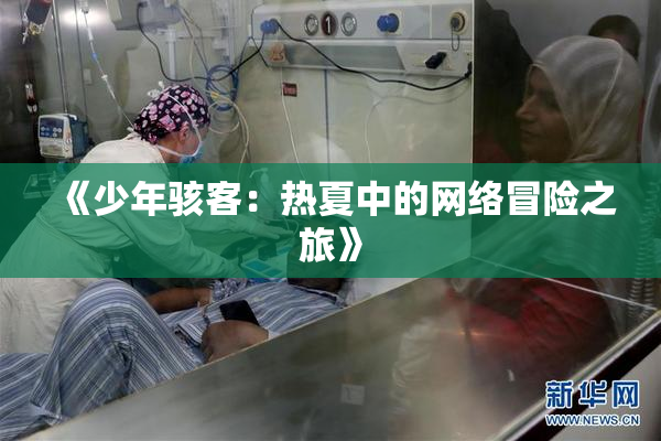 《少年骇客：热夏中的网络冒险之旅》