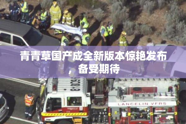 青青草国产成全新版本惊艳发布，备受期待