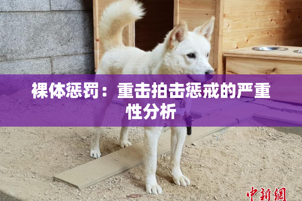 裸体惩罚：重击拍击惩戒的严重性分析