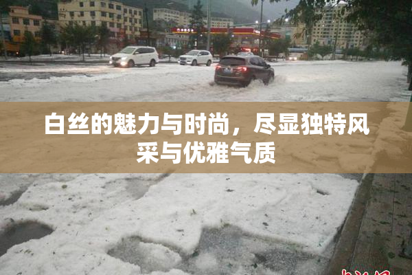 白丝的魅力与时尚，尽显独特风采与优雅气质
