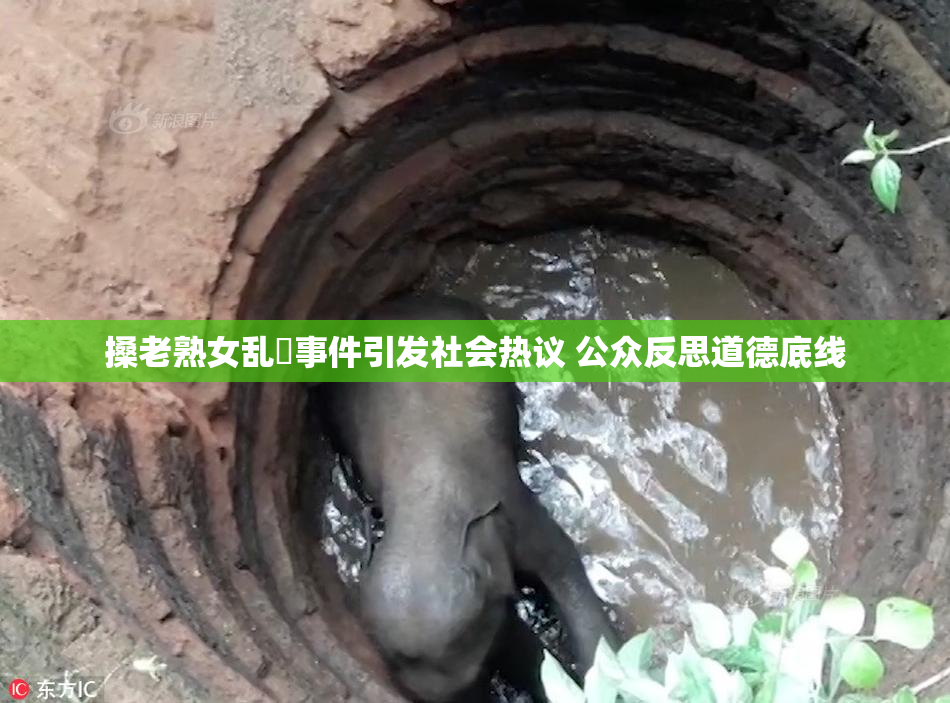 搡老熟女乱婬事件引发社会热议 公众反思道德底线
