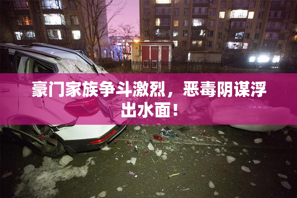 豪门家族争斗激烈，恶毒阴谋浮出水面！