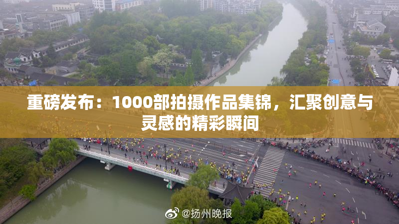 重磅发布：1000部拍摄作品集锦，汇聚创意与灵感的精彩瞬间