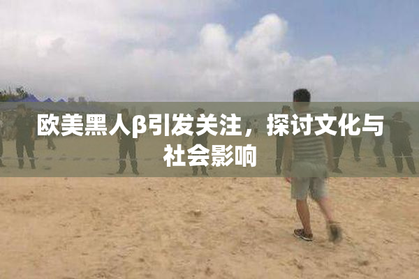 欧美黑人β引发关注，探讨文化与社会影响