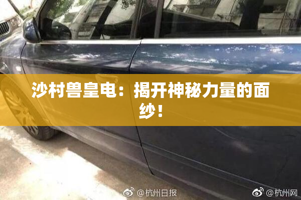 沙村兽皇电：揭开神秘力量的面纱！