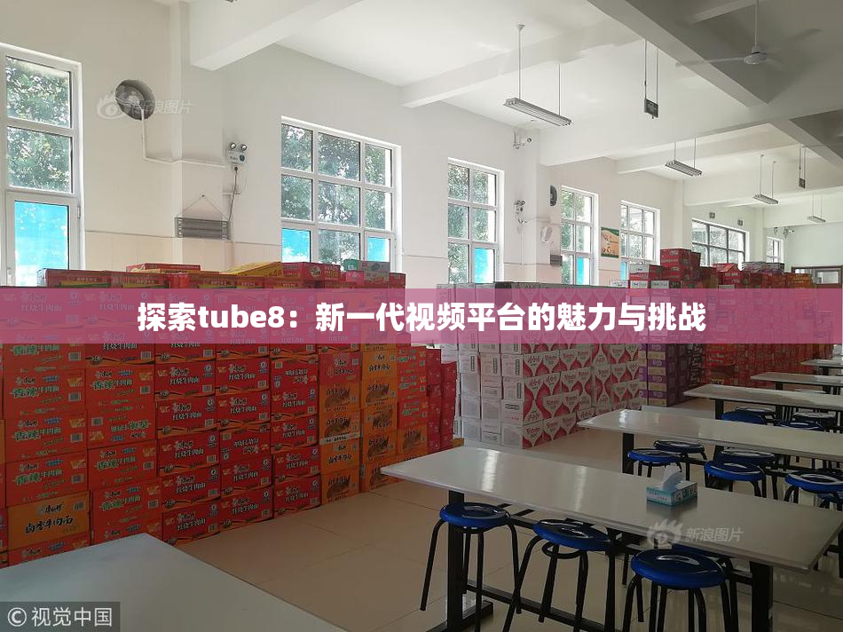 探索tube8：新一代视频平台的魅力与挑战
