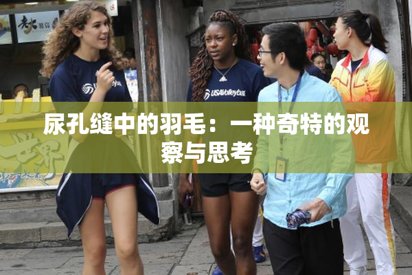 尿孔缝中的羽毛：一种奇特的观察与思考