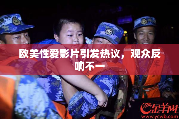 欧美性爱影片引发热议，观众反响不一