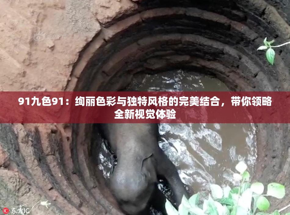 91九色91：绚丽色彩与独特风格的完美结合，带你领略全新视觉体验