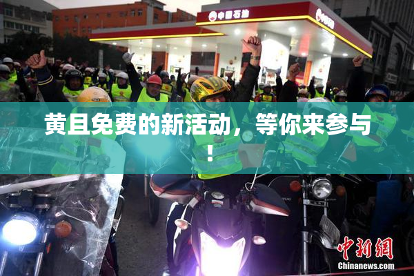 黄且免费的新活动，等你来参与！