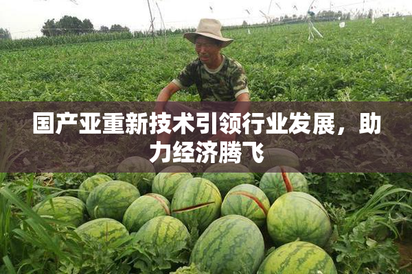 国产亚重新技术引领行业发展，助力经济腾飞