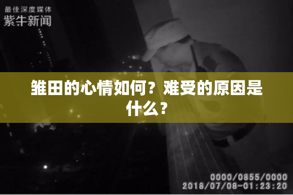 雏田的心情如何？难受的原因是什么？
