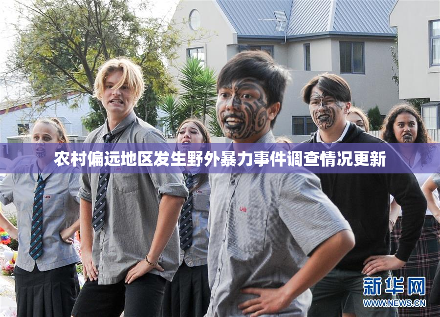 农村偏远地区发生野外暴力事件调查情况更新