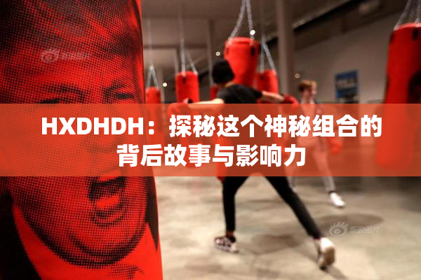 HXDHDH：探秘这个神秘组合的背后故事与影响力
