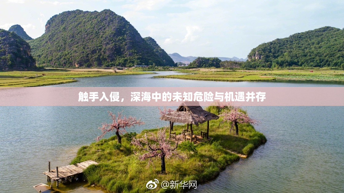 触手入侵，深海中的未知危险与机遇并存