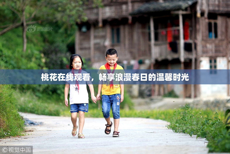 桃花在线观看，畅享浪漫春日的温馨时光