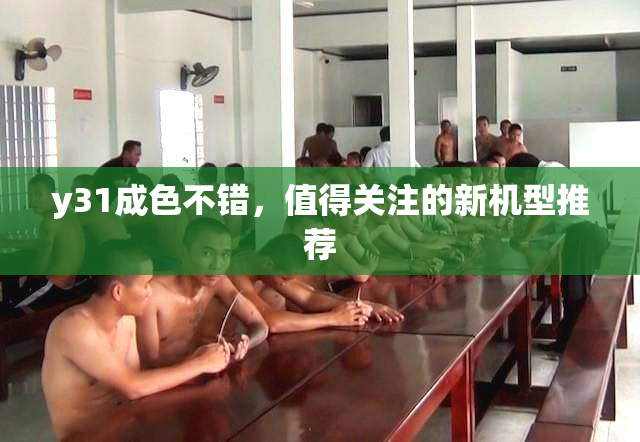 y31成色不错，值得关注的新机型推荐