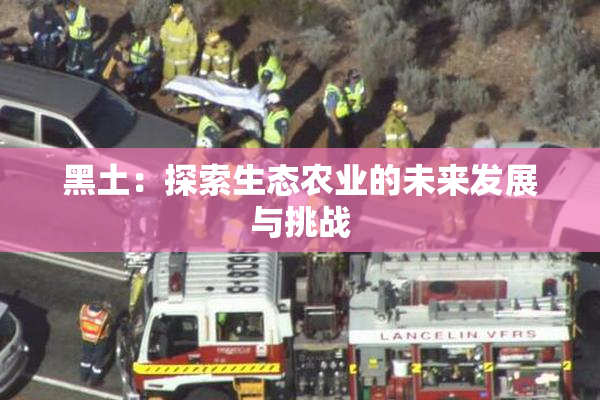 黑土：探索生态农业的未来发展与挑战