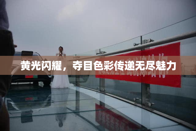 黄光闪耀，夺目色彩传递无尽魅力
