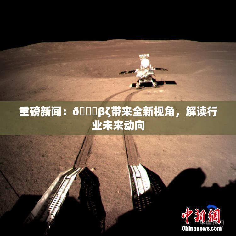 重磅新闻：👙βζ带来全新视角，解读行业未来动向