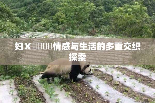 妇Ⅹ乄乂❌‌情感与生活的多重交织探索