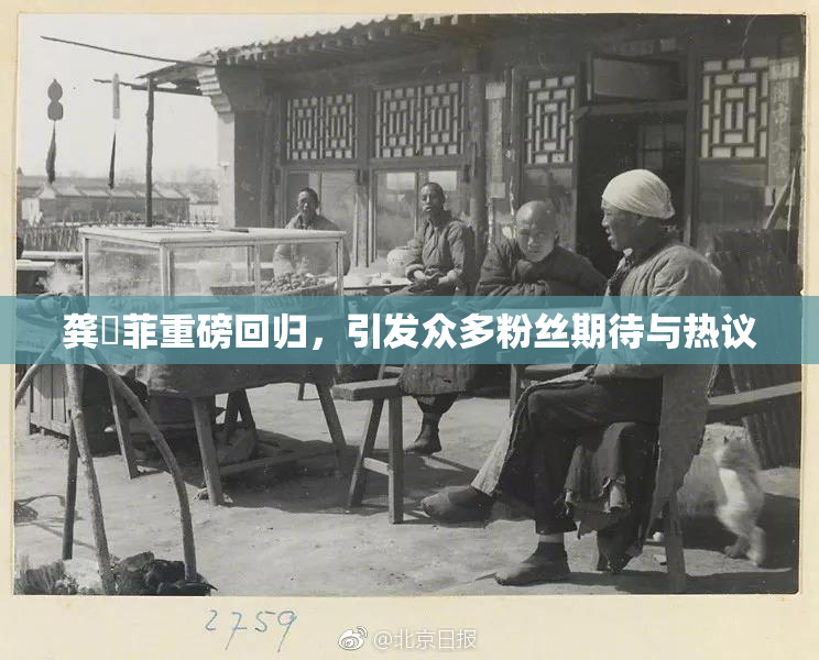 龚玥菲重磅回归，引发众多粉丝期待与热议