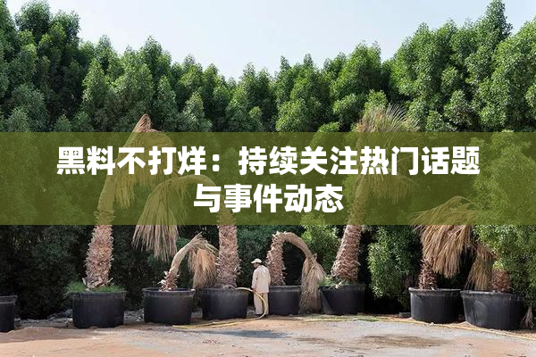 黑料不打烊：持续关注热门话题与事件动态
