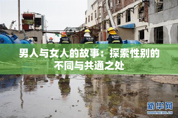 男人与女人的故事：探索性别的不同与共通之处