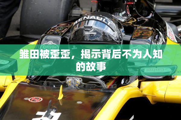 雏田被歪歪，揭示背后不为人知的故事