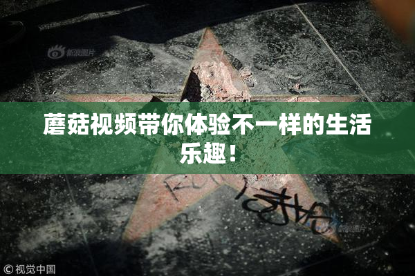 蘑菇视频带你体验不一样的生活乐趣！