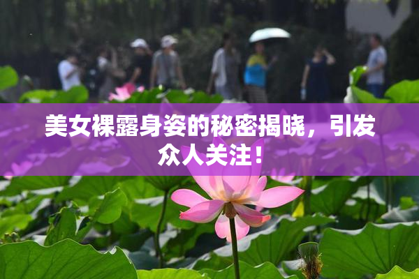 美女裸露身姿的秘密揭晓，引发众人关注！
